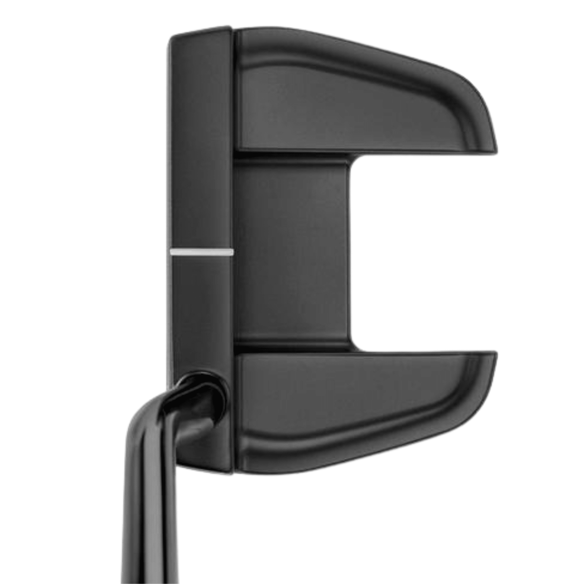 Mizuno M Craft Tokyo B Gray Ion Putter