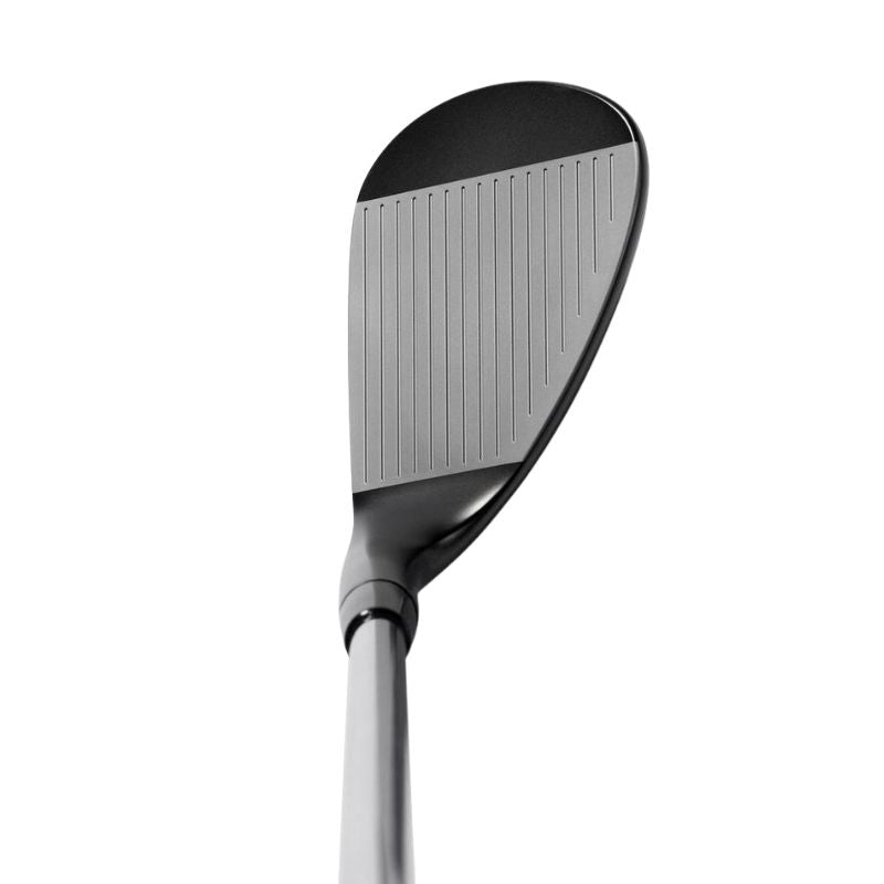 Mizuno Pro T3 Black Ion - Steel