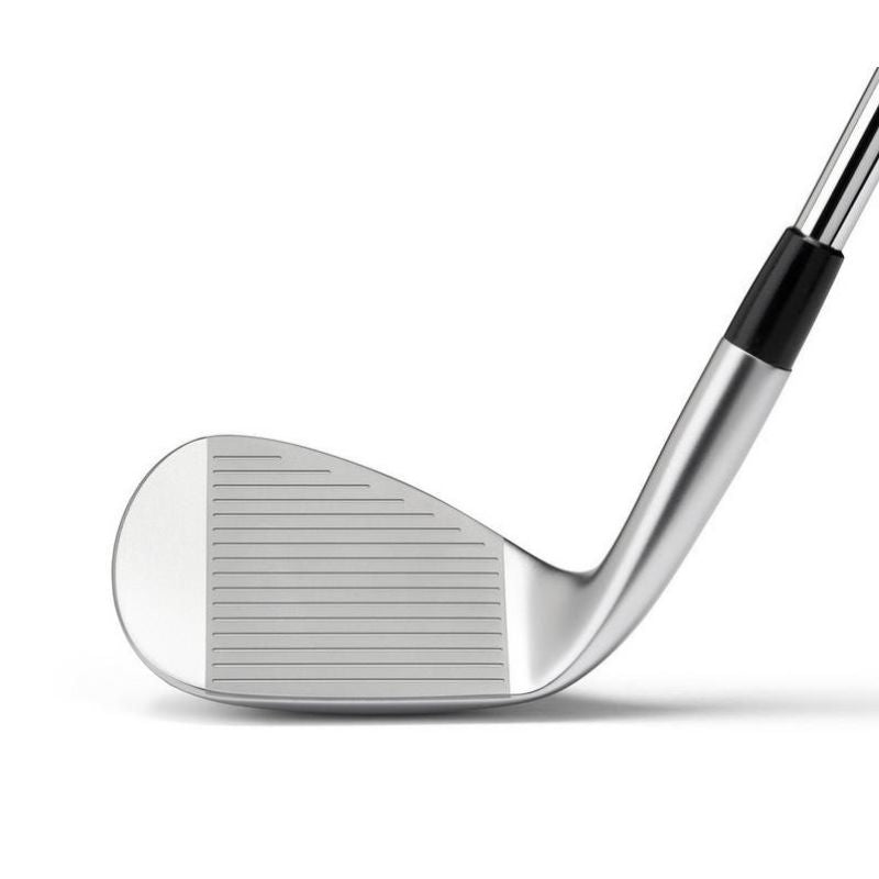 Mizuno Pro T3 White Satin - Steel